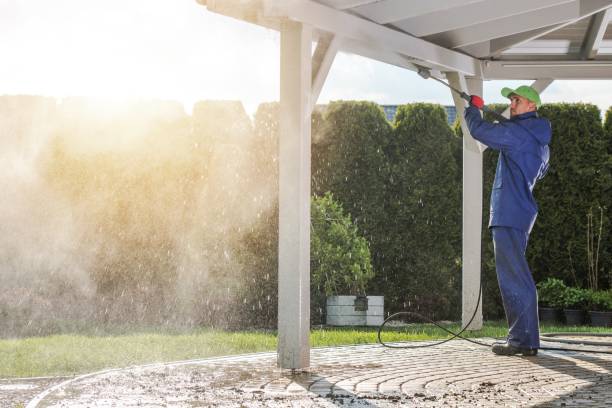 Best Dumpster Area Cleaning  in Abingdon, VA