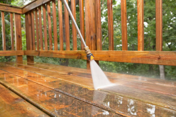 Animal Enclosure Cleaning in Abingdon, VA